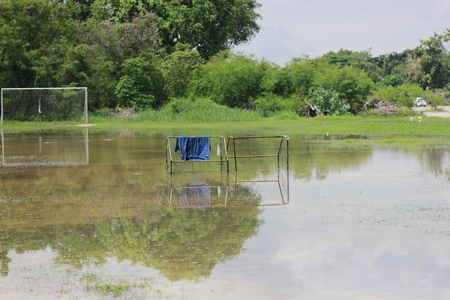 频发的另一 频发的另一